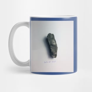 Shell Fossil Rock Sample Detrick 027 Mug